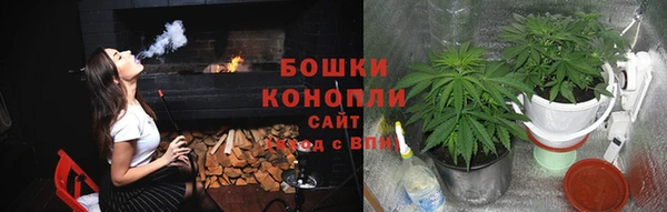 спайс Алексин