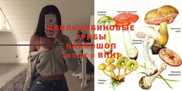 спайс Алексин