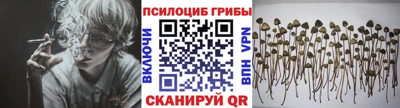 Псилоцибиновые грибы мухоморы Железногорск